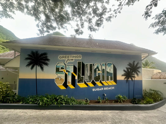 Sailing: The Brown Boobies of St. Lucia